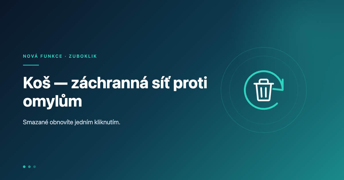 Koš v Zubokliku